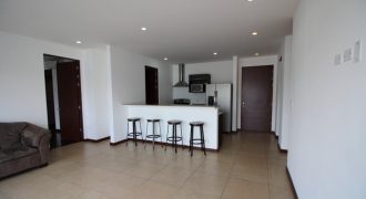 A Beautiful Apartment For Sale in Guachipelín