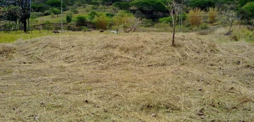 Lot in Pozos Santa Ana