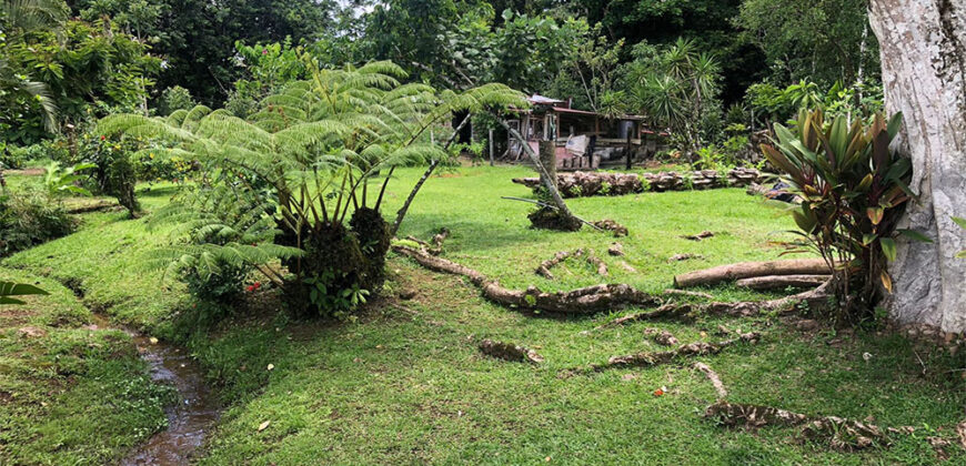 Finca in Guapiles