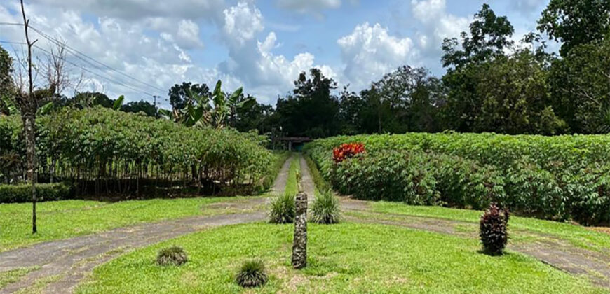 Finca in Guapiles