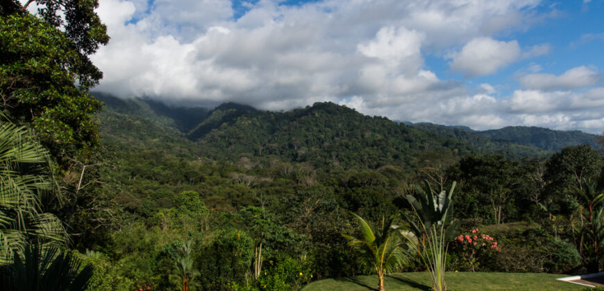 Estate in Ojochal