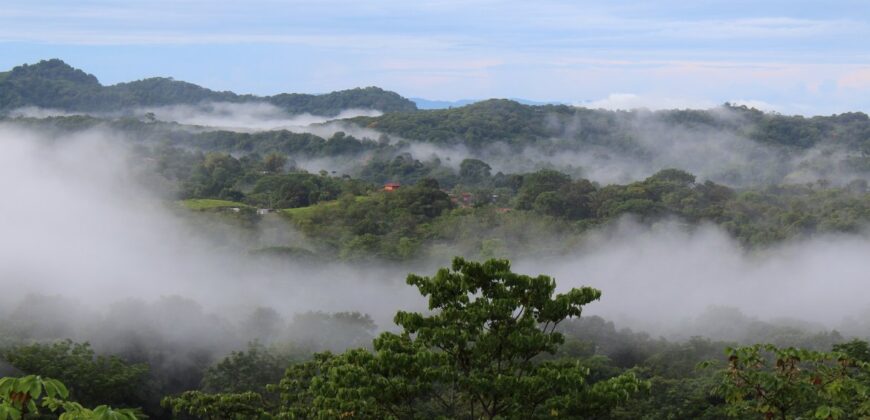 Ocean View Hotel Or Retreat Center Ojochal