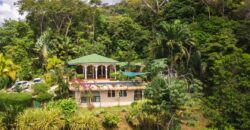 Exotic House in Ballena