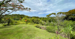 Ocean View Home Ojochal Puntarenas