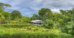 Mountain View Property for Sale Uvita