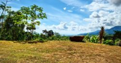 Mountain View Property for Sale Uvita