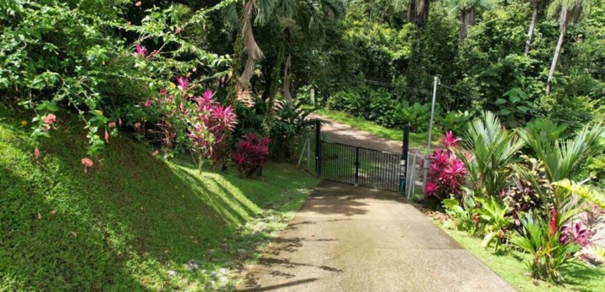 Modern Jungle House in Ojochal