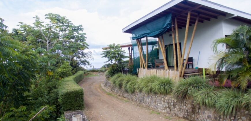 Ocean View Hotel Plus Two Homes Uvita