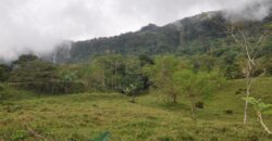 11 Acre Farm for Sale Uvita