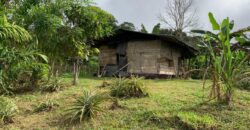 11 Acre Farm for Sale Uvita