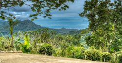 Ocean View Home in Lagunas Costa Rica