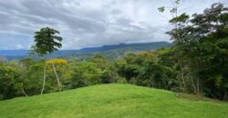 Large House With Infinity Pool in Uvita