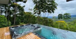 Large House With Infinity Pool in Uvita