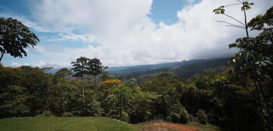 Large House With Infinity Pool in Uvita