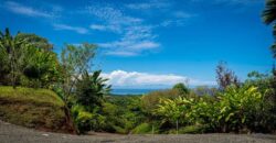 Uvita Luxury Home for Sale