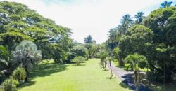 Prime Development Property for Sale Dominical