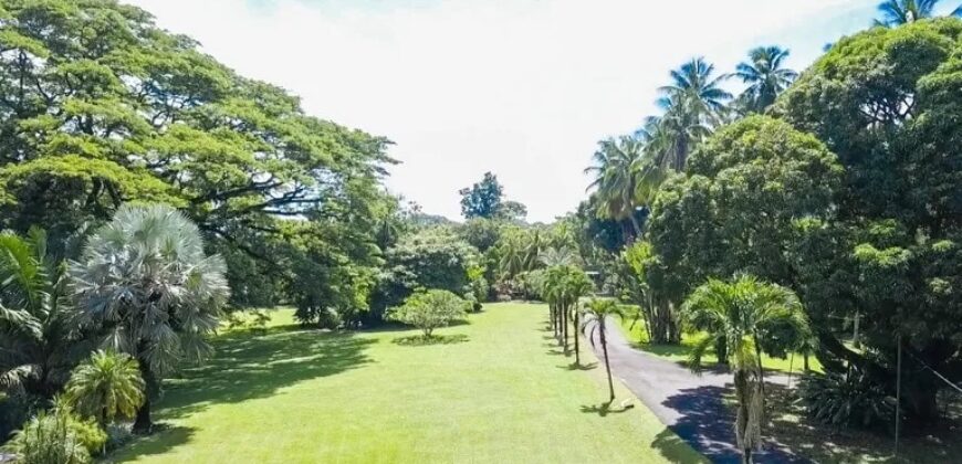 Prime Development Property for Sale Dominical