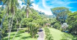 Prime Development Property for Sale Dominical