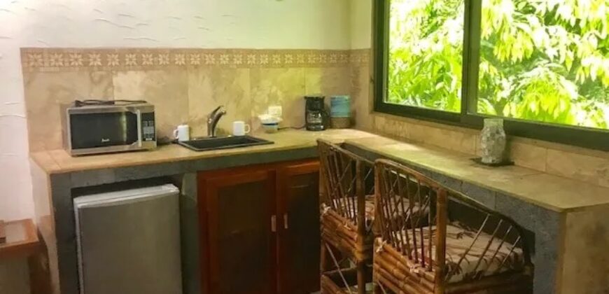 7 Bedroom Jungle Property for Sale Dominical