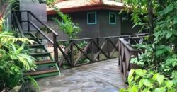 7 Bedroom Jungle Property for Sale Dominical