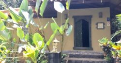 7 Bedroom Jungle Property for Sale Dominical