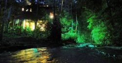 7 Bedroom Jungle Property for Sale Dominical