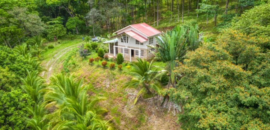 Ocean View Farm For Sale Balsar