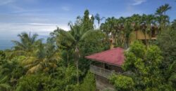 Ocean View Tropical Property in Escaleras