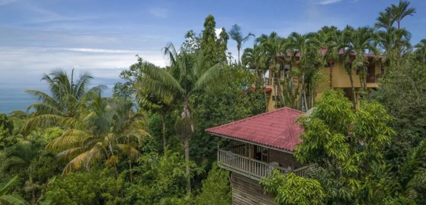 Ocean View Tropical Property in Escaleras