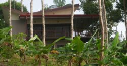 House and Airbnb Tower in Uvita