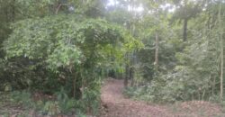 50 Hectare lot in San Antonio de Tulin