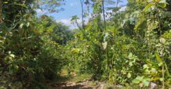 50 Hectare lot in San Antonio de Tulin