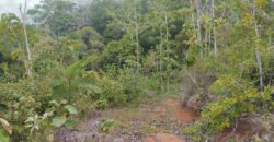 50 Hectare lot in San Antonio de Tulin