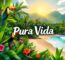 Pura Vida Philosophy