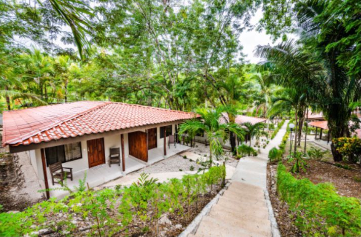 Gardens and pathways through the grounds at El Sueño Tropical