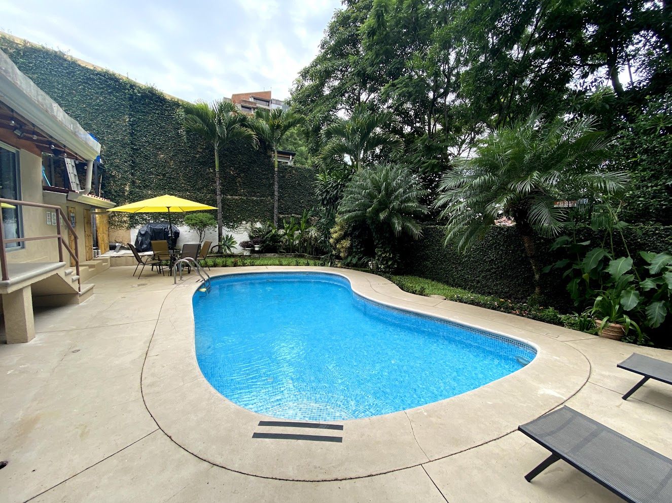 Pool, deck and tall trees seen from the house