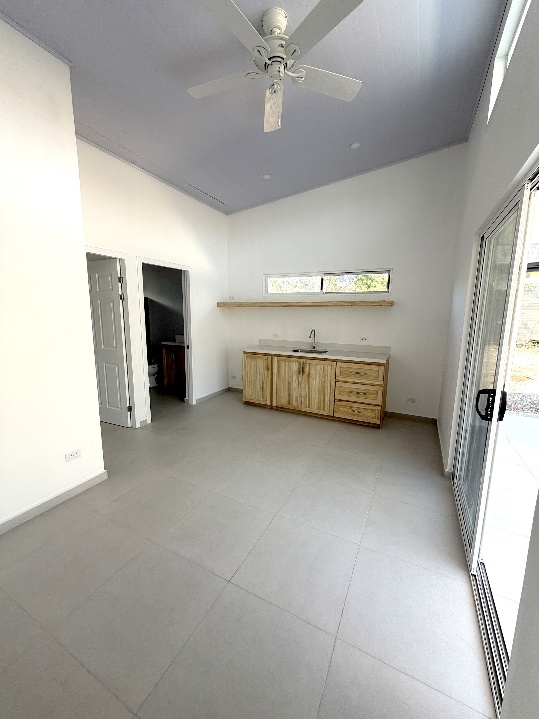 Living area and kitchenette