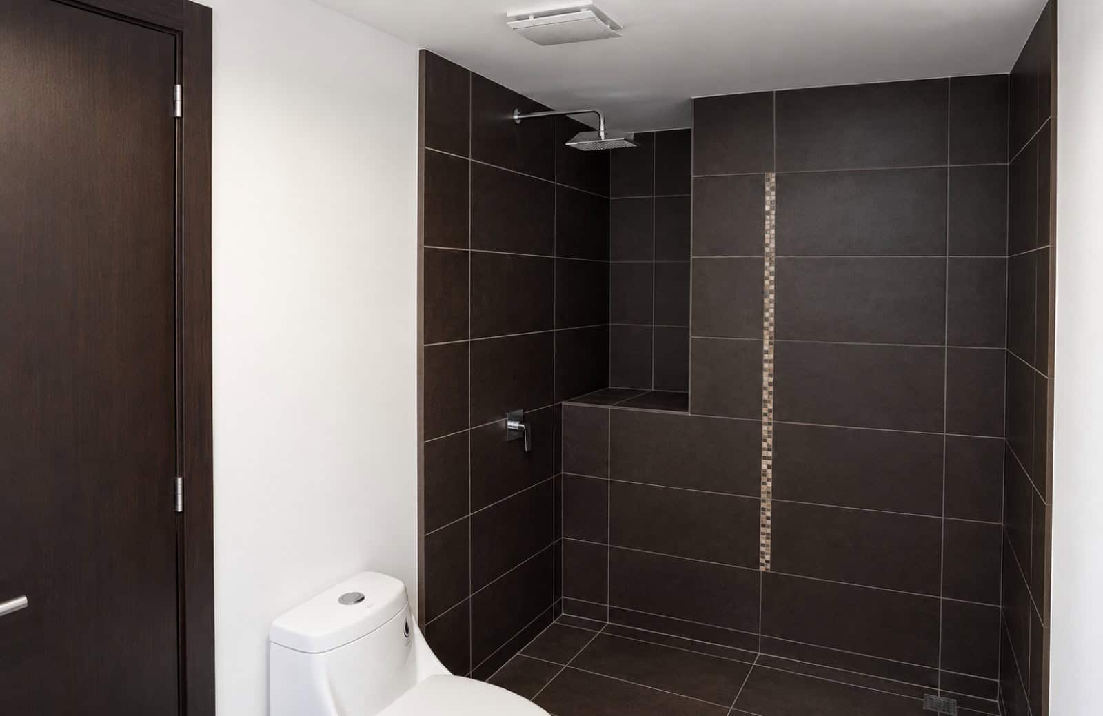 Shower with dark porcelain tile