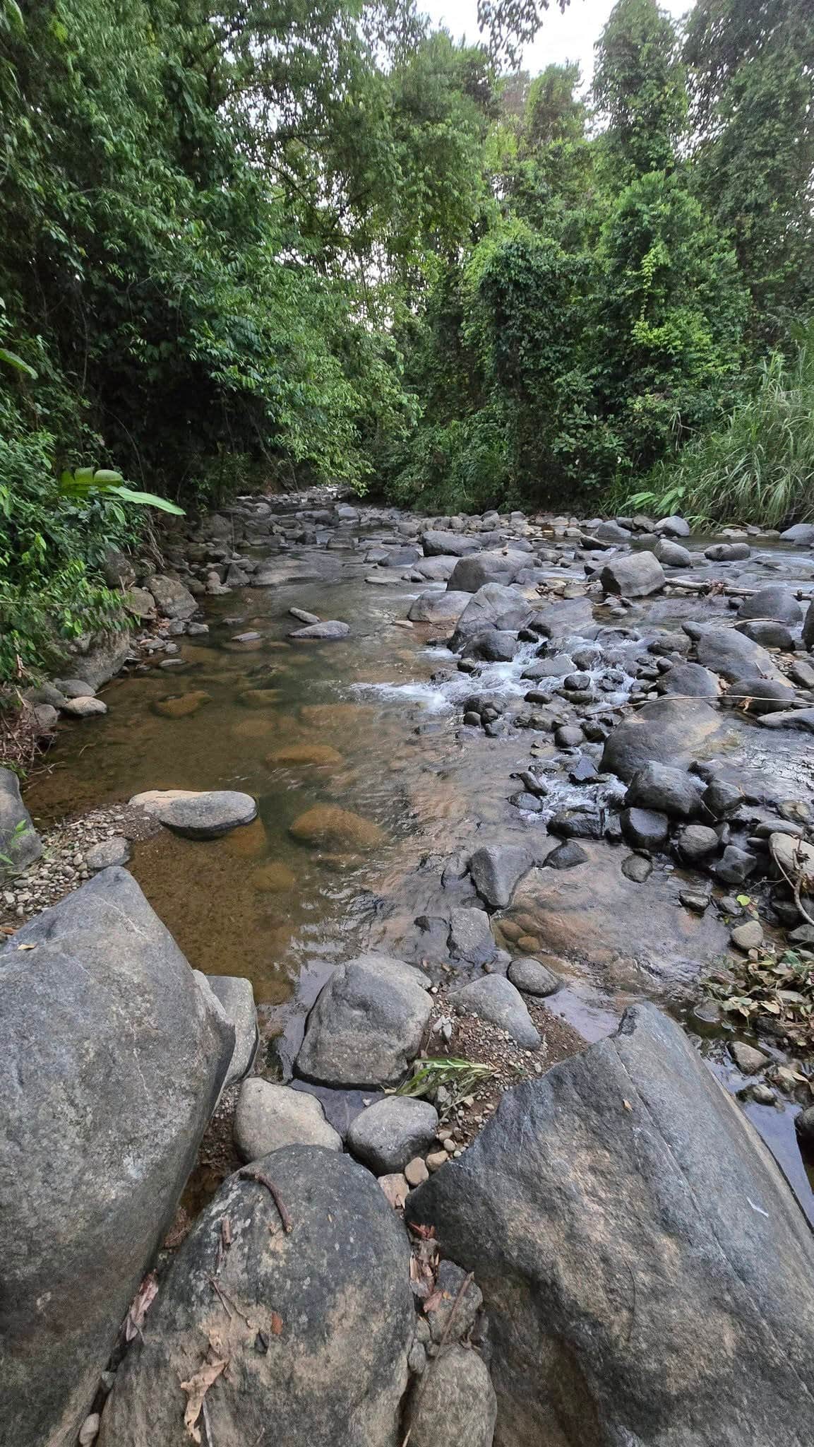 Private access to the Morete River, Uvita riverfront duplex for sale