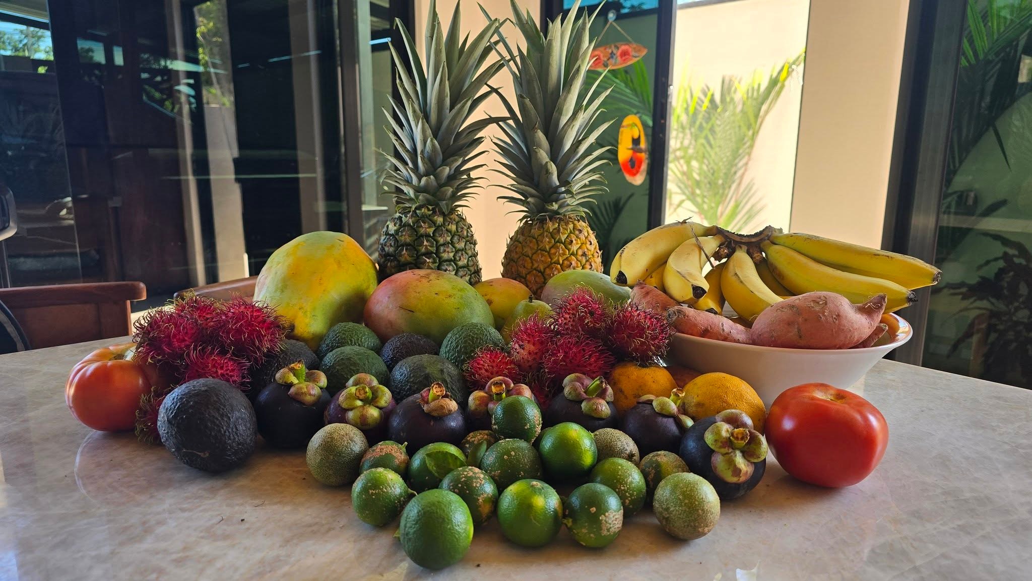 Fruit from the 50 fruit trees, Uvita riverfront duplex for sale