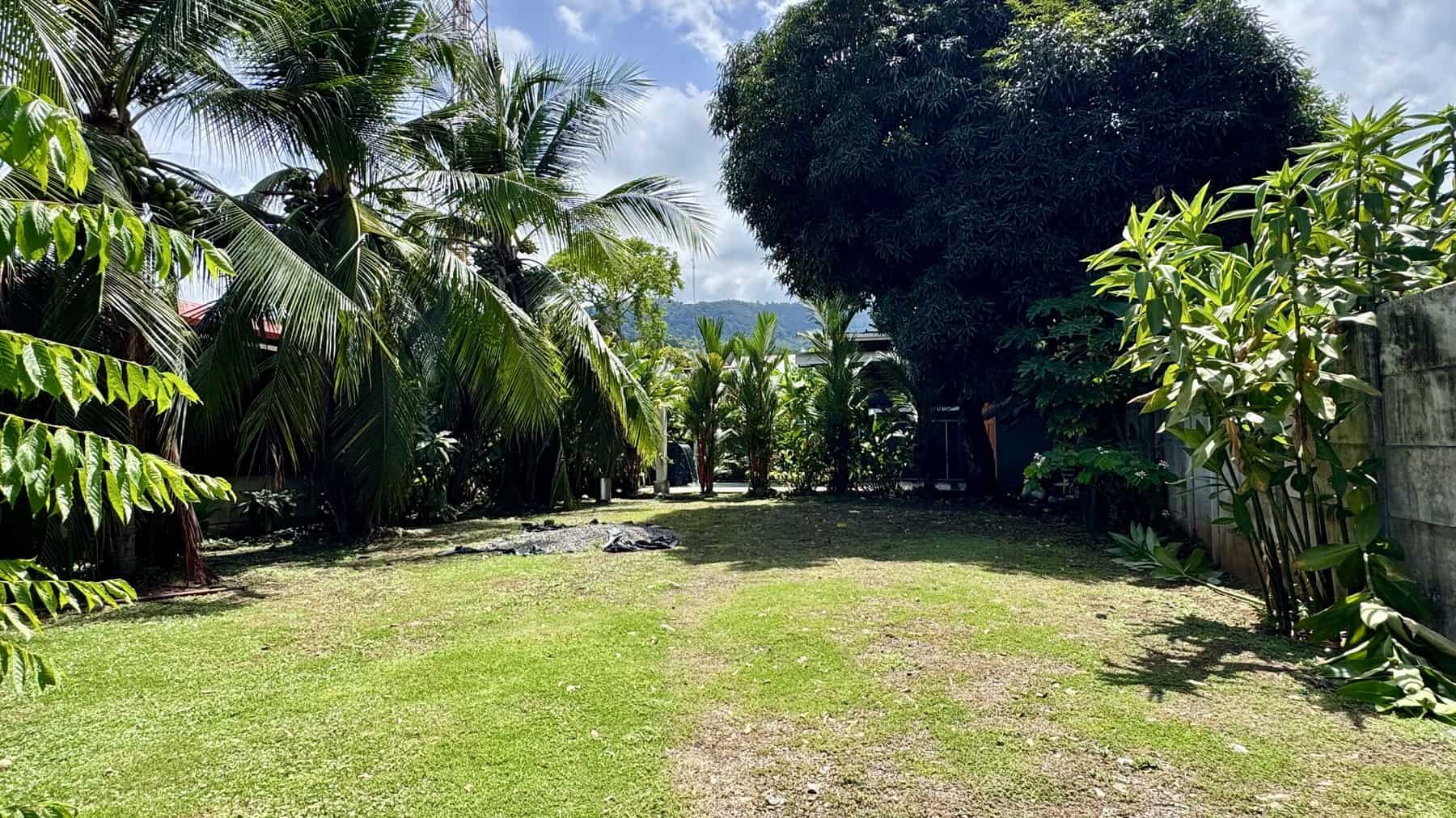 Garden and open land with palm trees, Uvita